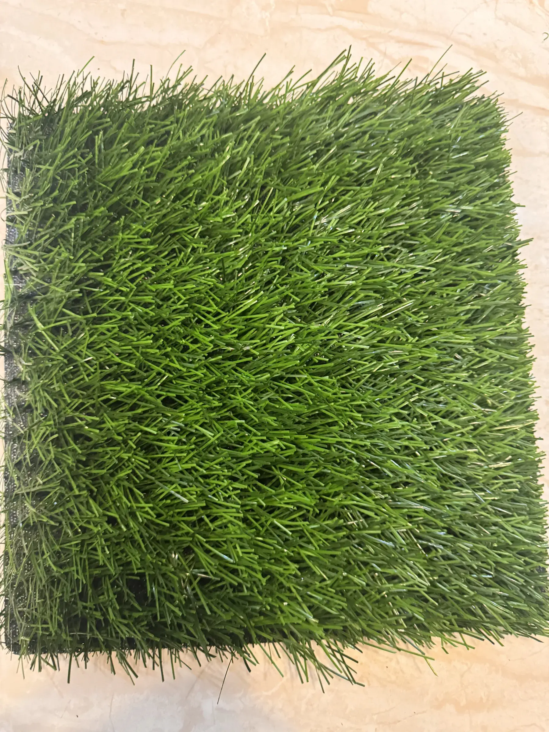 Rumput Soccer dan Mini Soccer